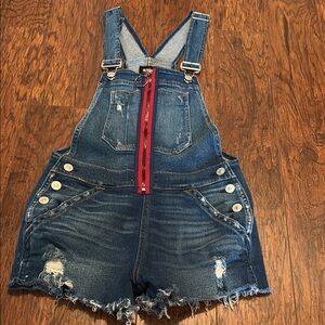 Hudson Jeans Blue and Red Jean Shorts with Distressed Details